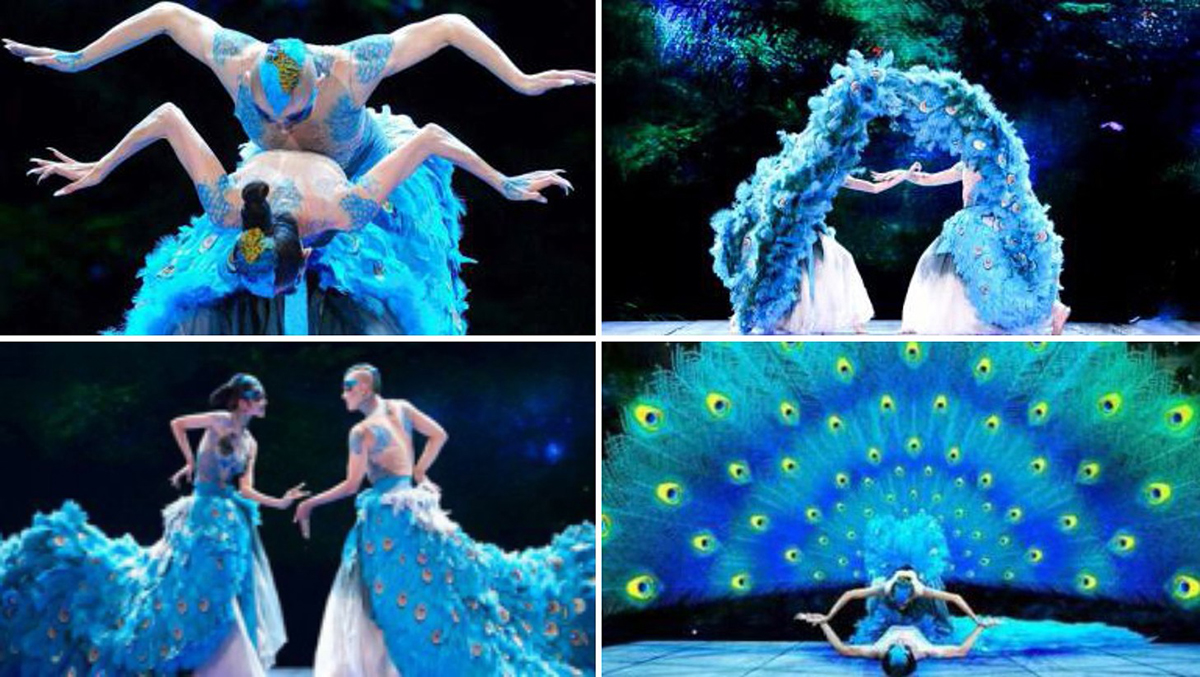 《雀之戀》舞蹈節(jié)目