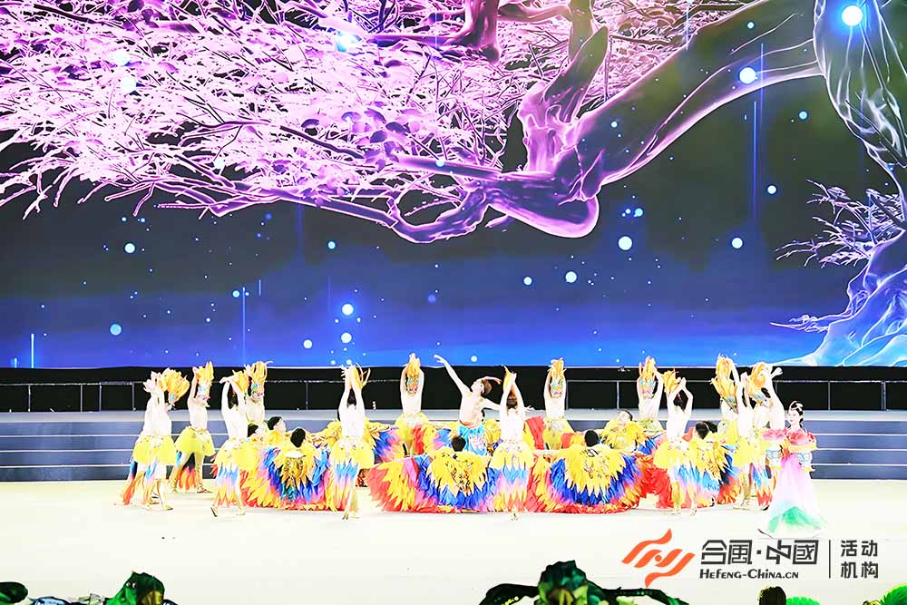 �����B���P�������P���(y��ng)����ˇ��(ji��)Ŀ-5