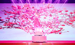 ��(chu��ng)���赸��(ji��)Ŀ���`�š�