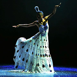 �V���ݳ���˾���ݳ���(j��ng)�o(j��)����ˇ��(j��ng)�o(j��)����(ji��)Ŀ���ݽ�(j��ng)�o(j��)