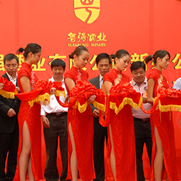 �_�I(y��)�߄�,�_�I(y��)��Ӳ߄�,�V�|,�V��