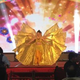 �V�ݸ������ˇ��(j��ng)�o(j��)��˾