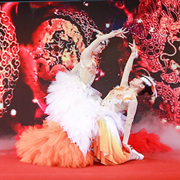 ���(d��ng)�߄���(ji��)Ŀ,�赸�ݳ���(j��ng)�o(j��),�赸��ˇ��(j��ng)�o(j��)