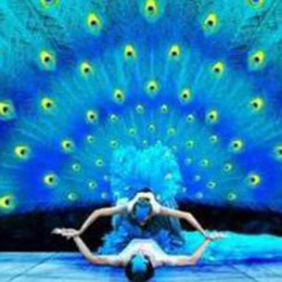 ȸ֮�٣��赸��(ji��)Ŀ���赸�ݳ���(j��ng)�o(j��)���赸��ˇ��(j��ng)�o(j��)��ȸ֮���赸��(j��ng)�o(j��)