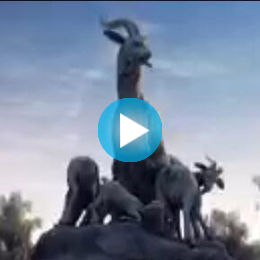 �V�ݳ�������Ƭ������˾,�V�ݳ�����������Ƭ������˾,�V�ݳ�����������Ƭ�Ĕz������˾